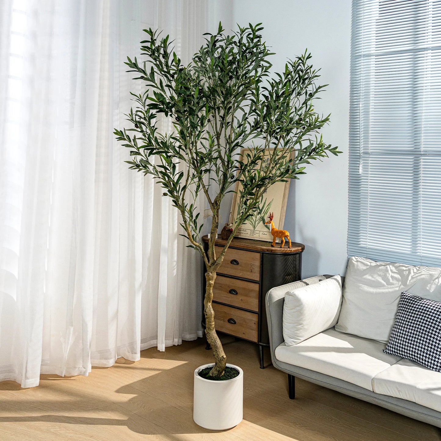 Olive tree - Coming soon!